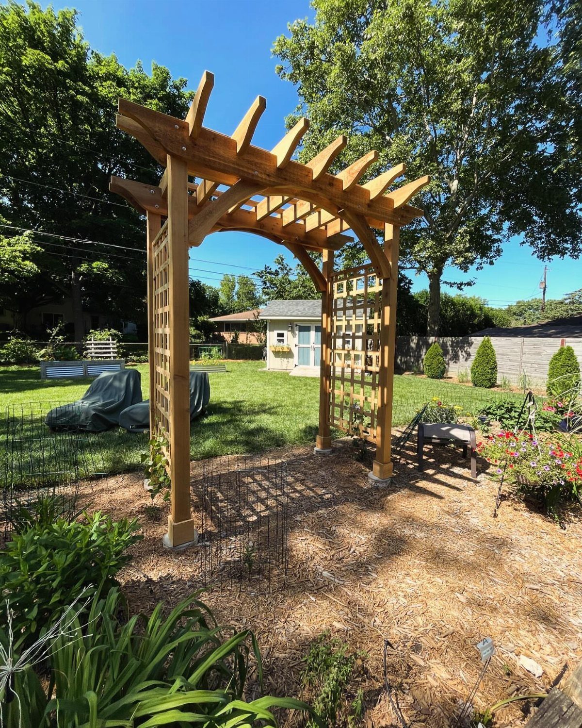 Wooden garden arbor with curved top and lattice sides in a sunny backyard