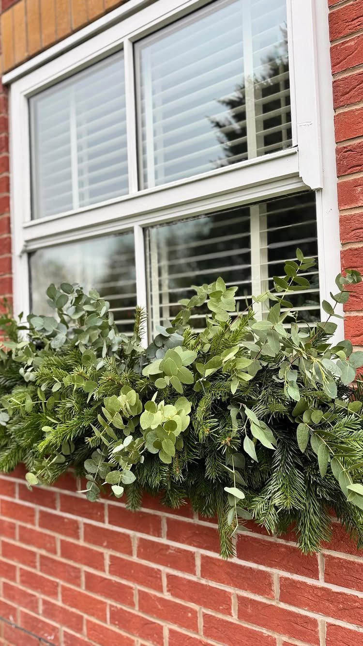 12 Christmas Decorations DIY for Outdoor Spaces 10 Evergreen and eucalyptus greenery in a window box against a red brick wall.