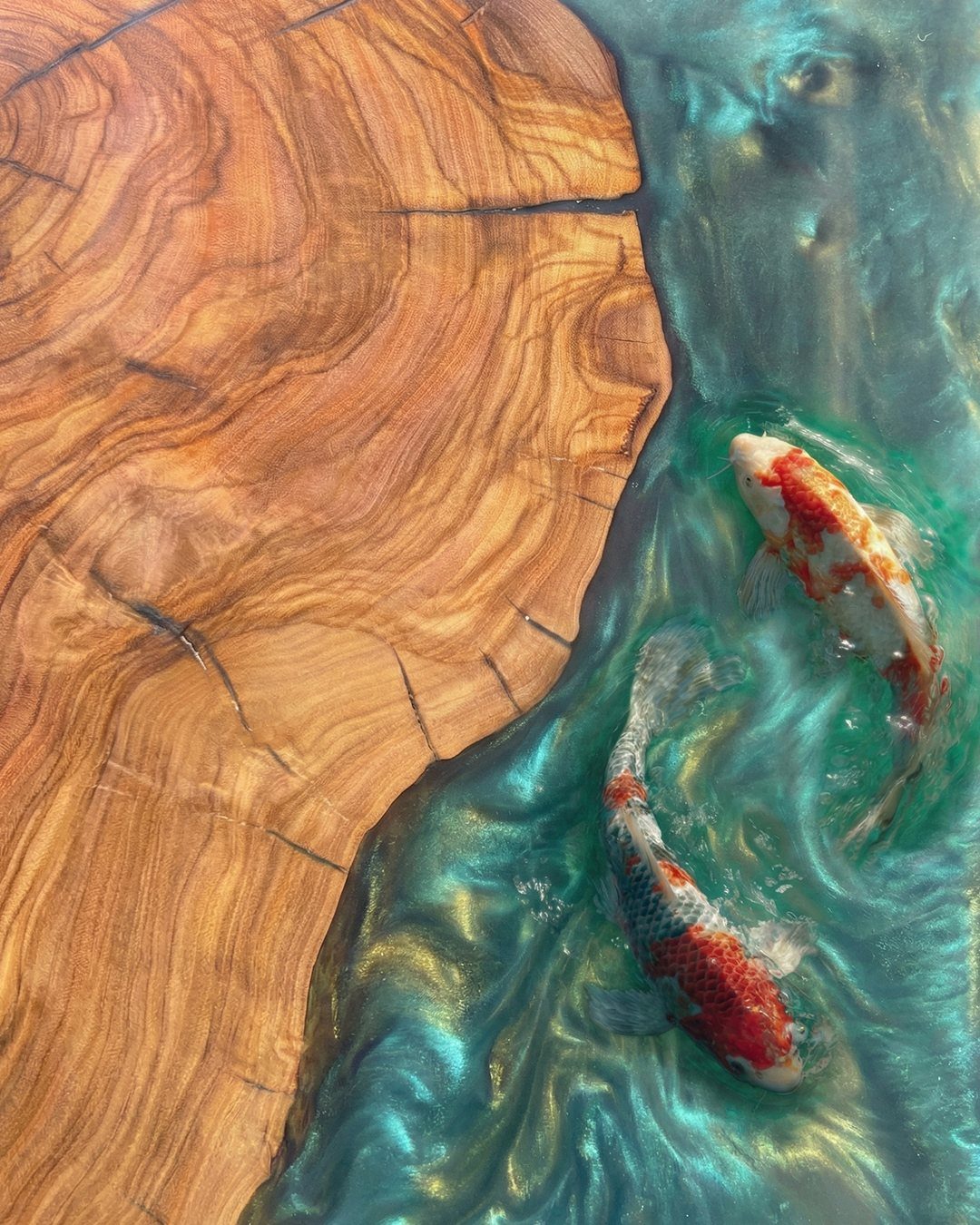 9 Epoxy Resin Wood Projects: Tables, Trays, Clocks and Coasters 8 Wooden slab with turquoise epoxy resin containing two colorful koi fish swimming