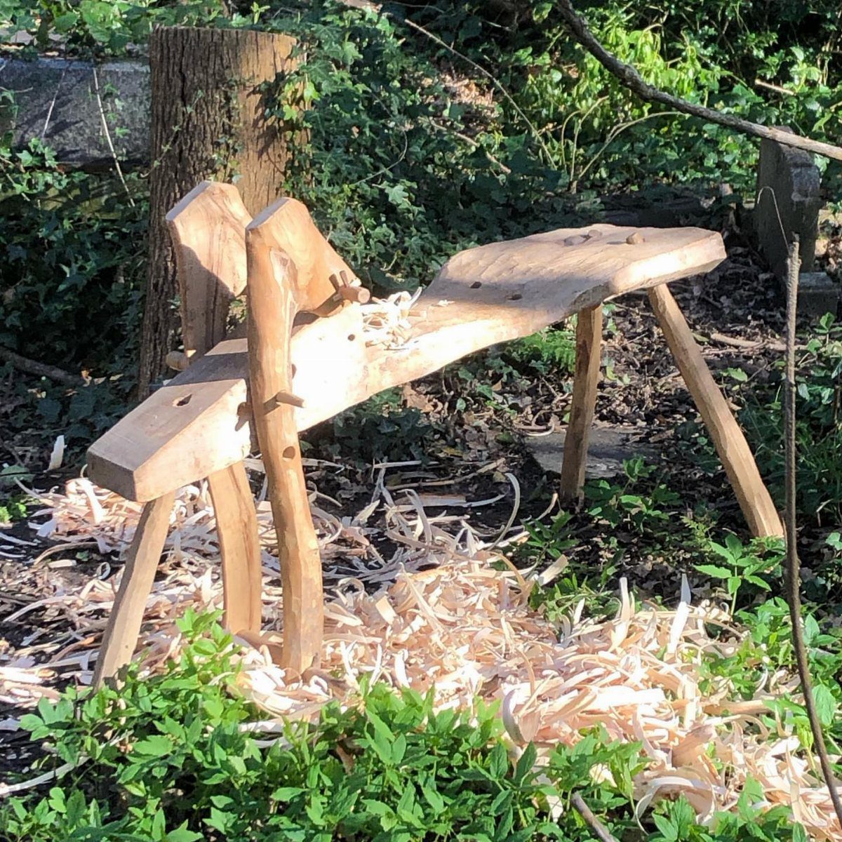 Green Woodworking Tools: 6 Essentials for the Workshop 2 Wooden shave horse bench surrounded by curly wood shavings in a garden setting.