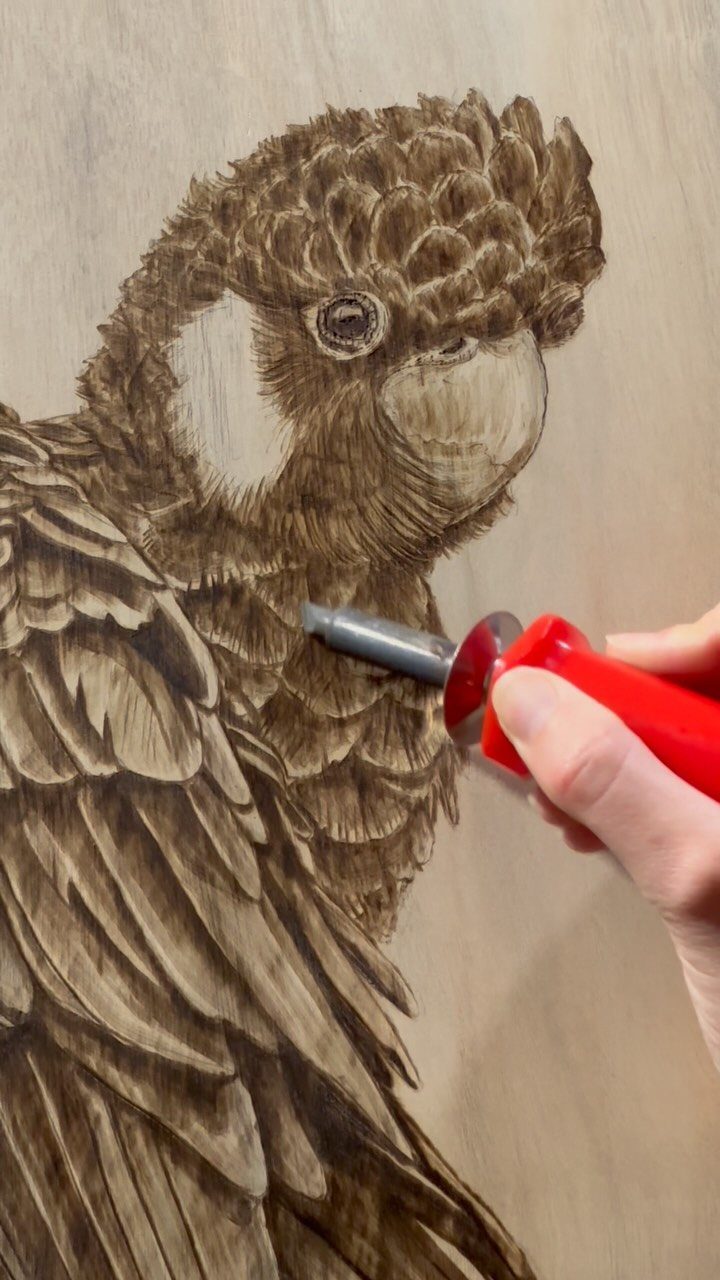 How to Burn Wood Art: 12 Ideas for Every Skill Level 7 Hand using a pyrography tool to burn a detailed parrot portrait into wood.