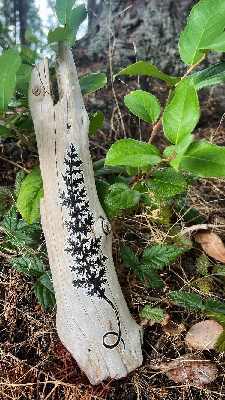 How to Burn Wood Art: 12 Ideas for Every Skill Level 6 Weathered driftwood with a detailed black burned silhouette of a pine tree.