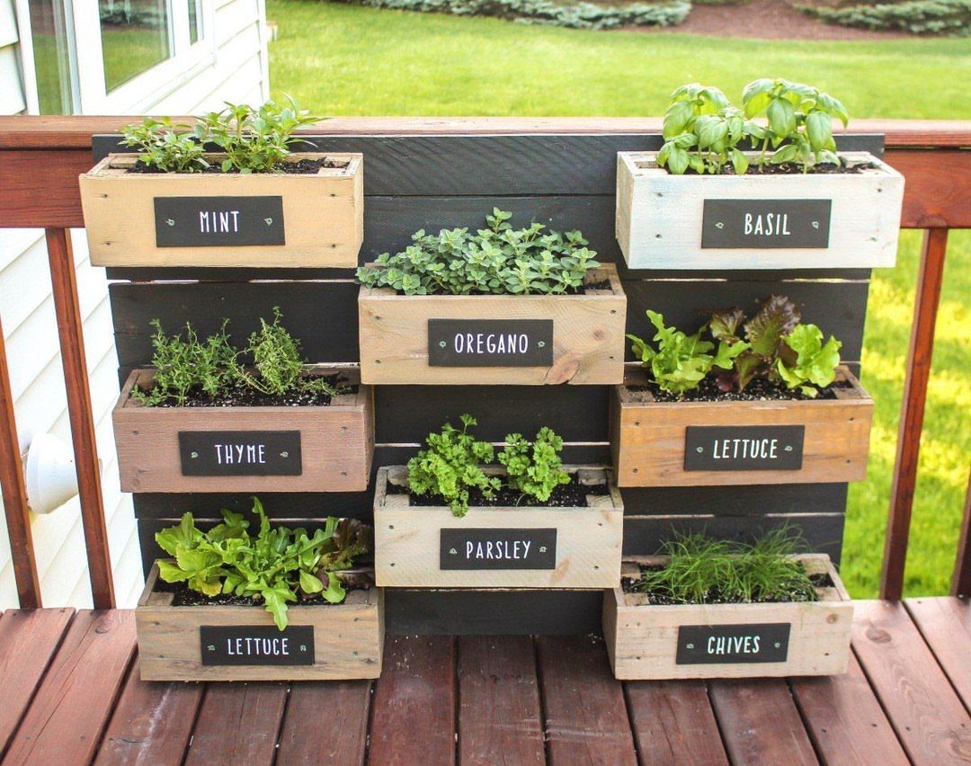 Vertical wooden herb garden with labeled planter boxes mounted on a dark grey wall.