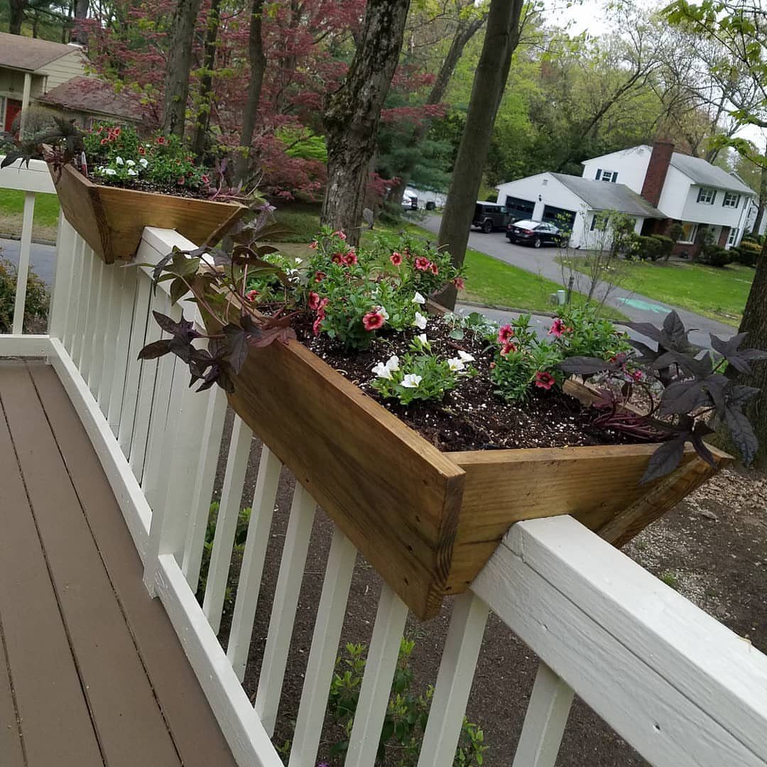 Wooden planters with red and white flowers attached to a white deck railing.