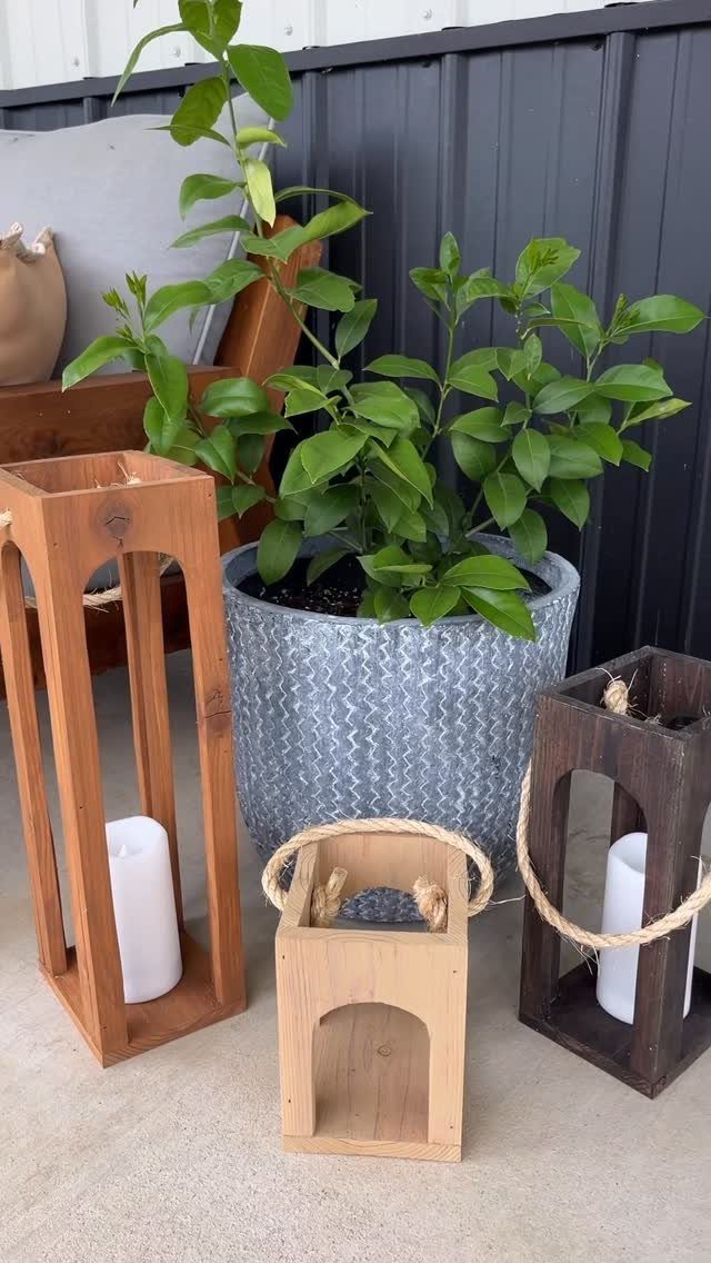 Three wooden lanterns with white pillar candles next to a potted green plant.