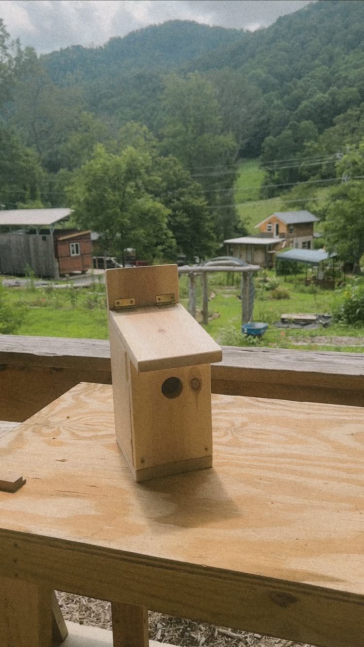 14 Shop Class Projects to Build: Bookshelf to Plywood Cart 6 Handmade wooden birdhouse with a slanted roof sitting on a wooden workbench outdoors.