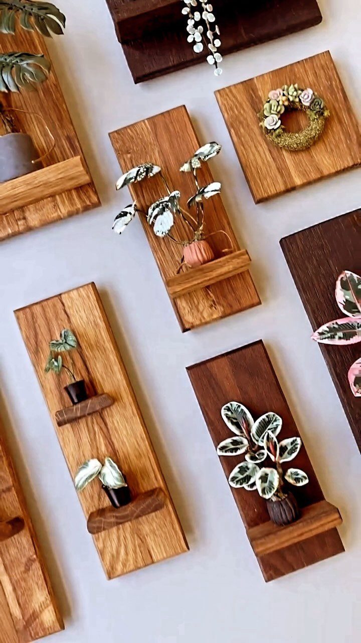 Wooden wall-mounted planters holding small potted plants with variegated leaves on a white wall.