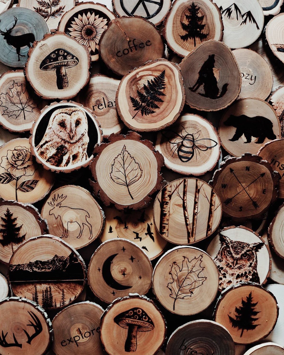 Wood burned circular coasters featuring nature illustrations and words on natural wood slices