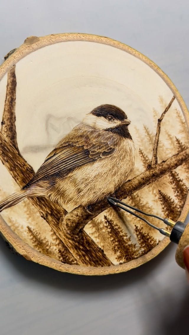 Wood burned bird on a branch with a pyrography tool adding detail.