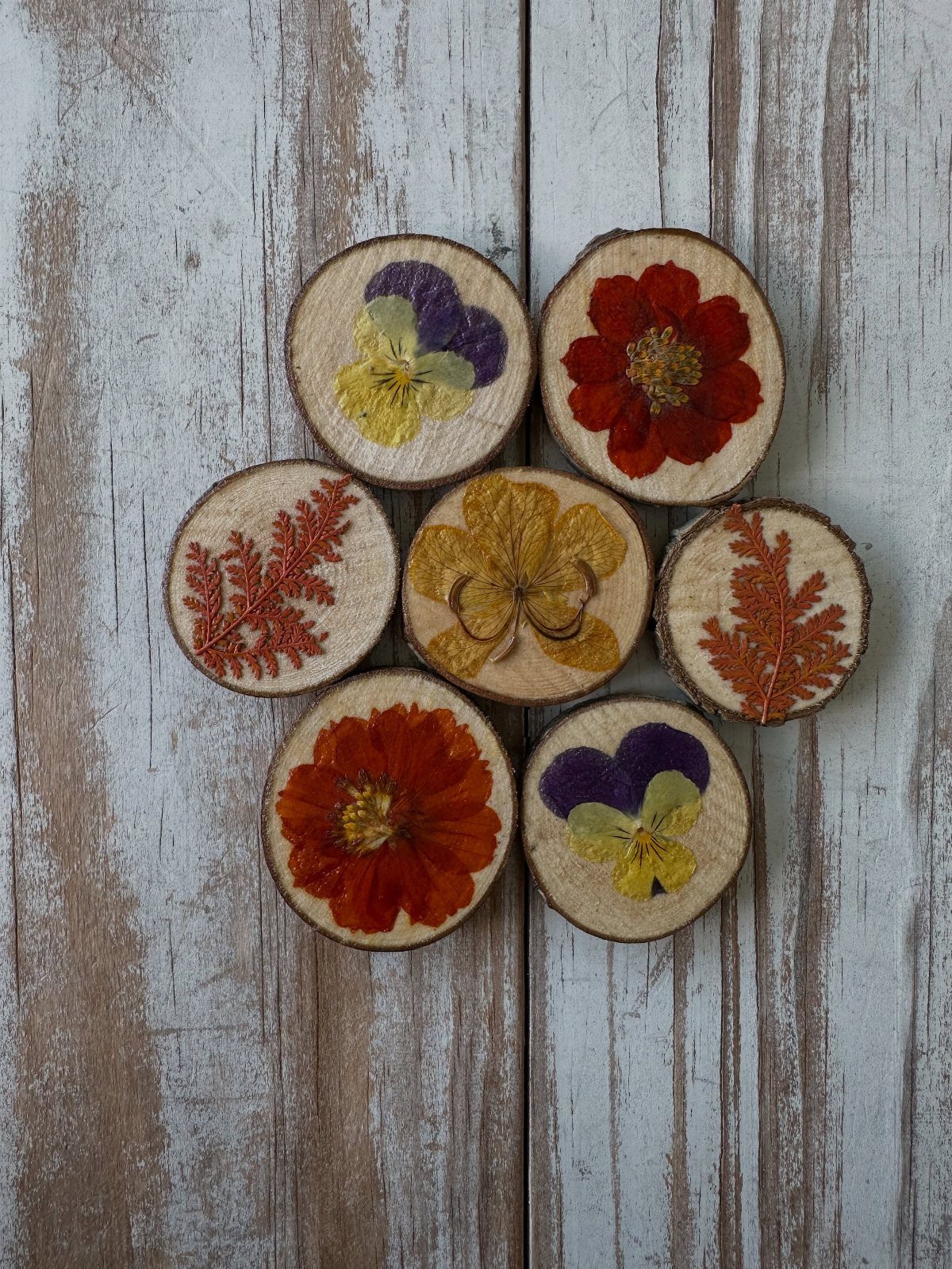 10 Wood Slice Crafts for Home Decor, Gifts and Games 8 Pressed dried flowers and leaves on circular wood slices over a white wooden background.