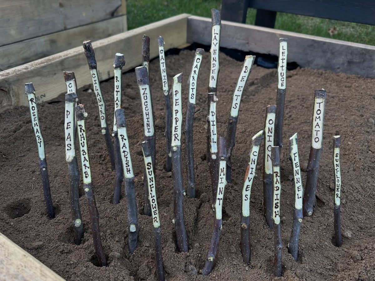 Wooden garden markers with plant names stuck in dark soil in a raised bed