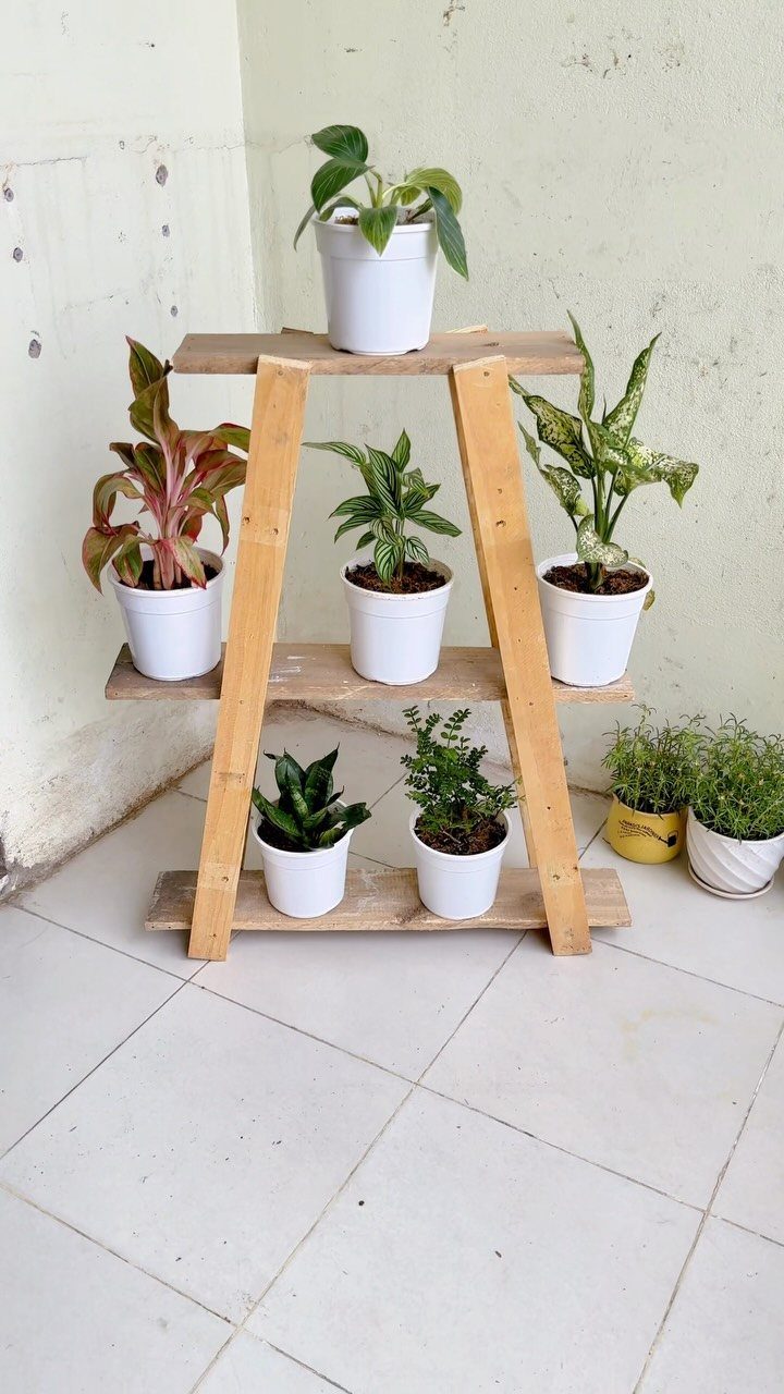 Three-tiered wooden plant stand holding several small potted green plants against a white wall.