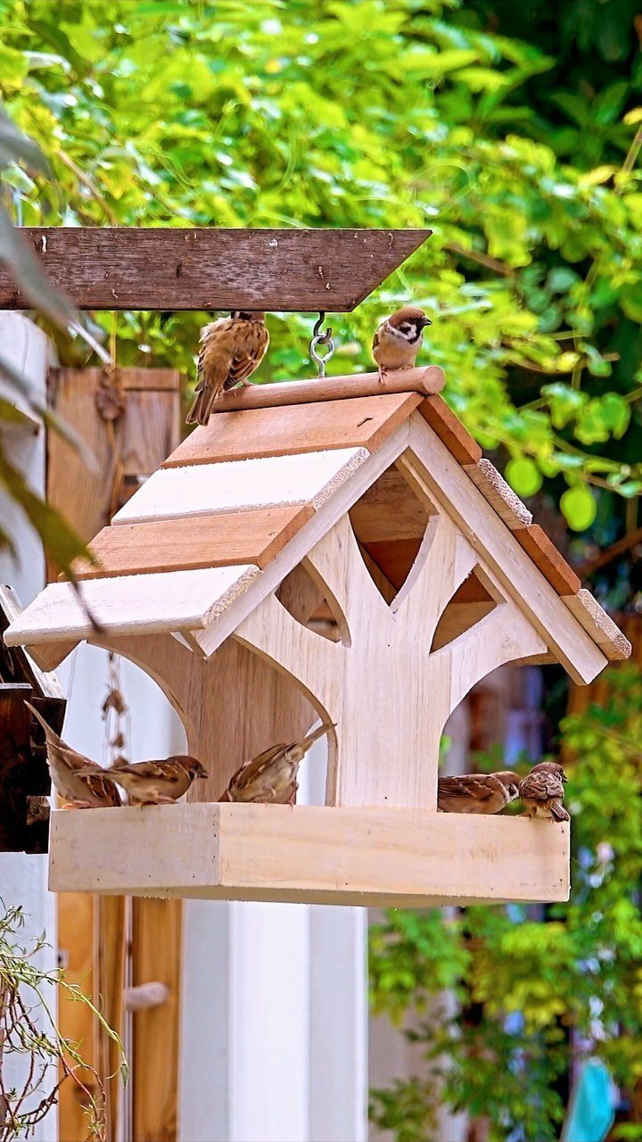 Wooden birdhouse with tree cutout and small birds perched on it outdoors